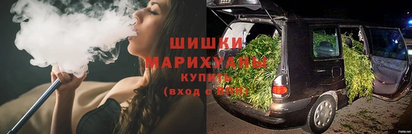 гидропоника Алзамай