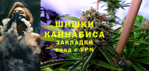 гидропоника Алзамай