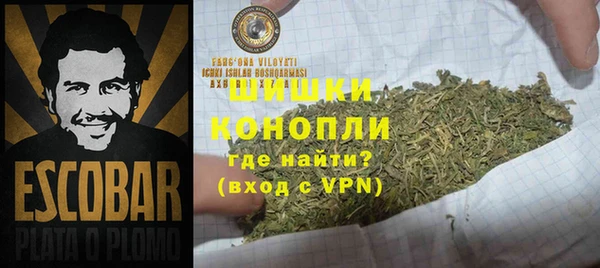 шишки Алексеевка