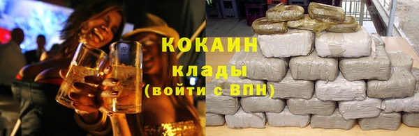шишки Алексеевка